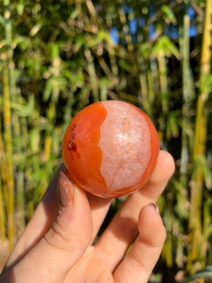 The Guide Crystals sphere 5 Carnelian Medium/Large Sphere