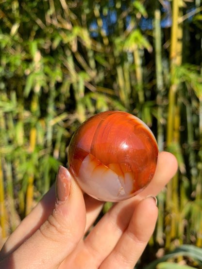 The Guide Crystals sphere 6 Carnelian Medium/Large Sphere