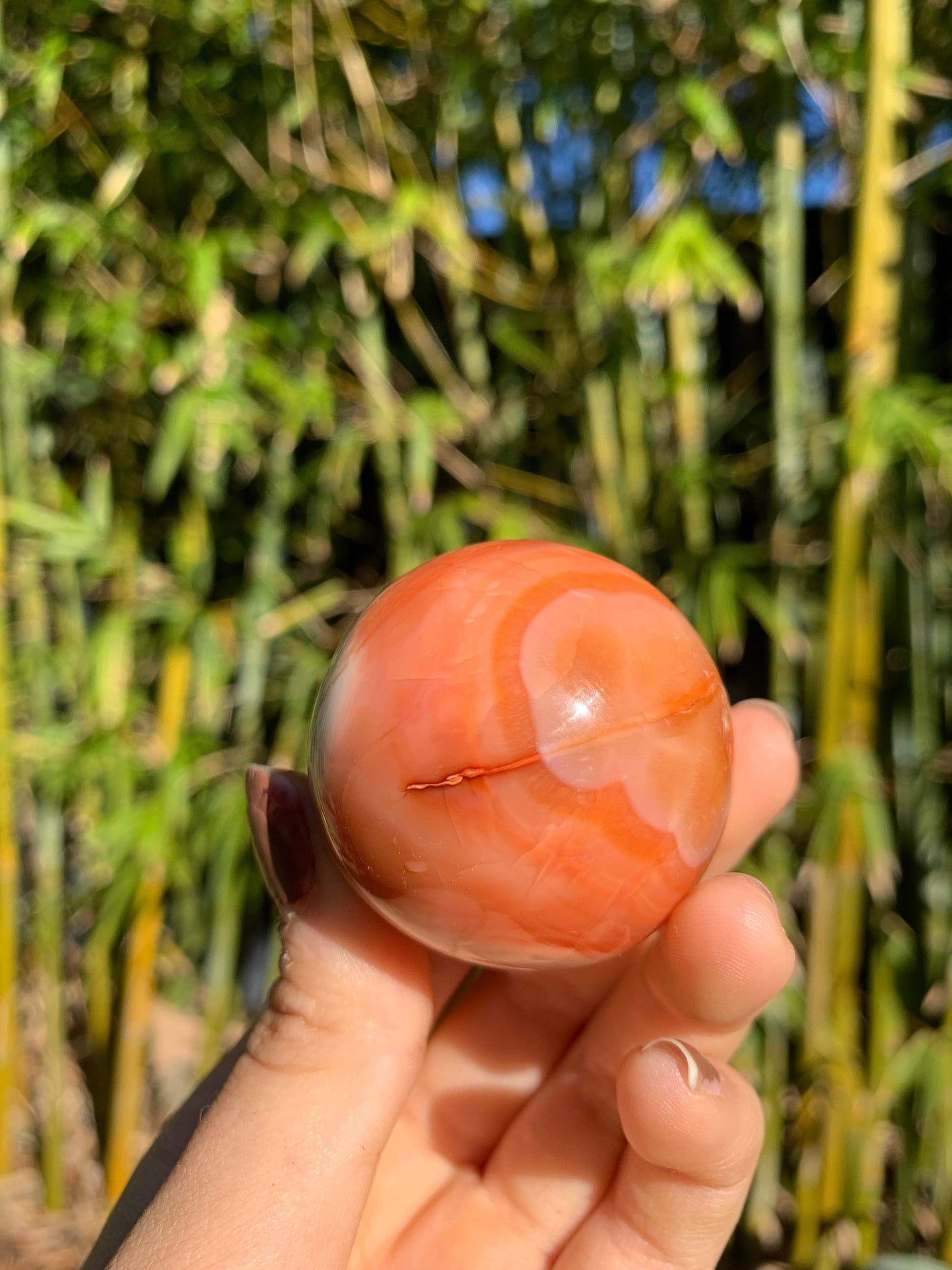 The Guide Crystals sphere 8 Carnelian Medium/Large Sphere