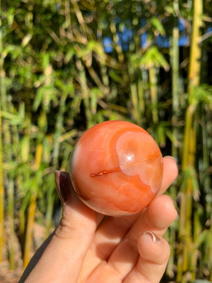 The Guide Crystals sphere 8 Carnelian Medium/Large Sphere