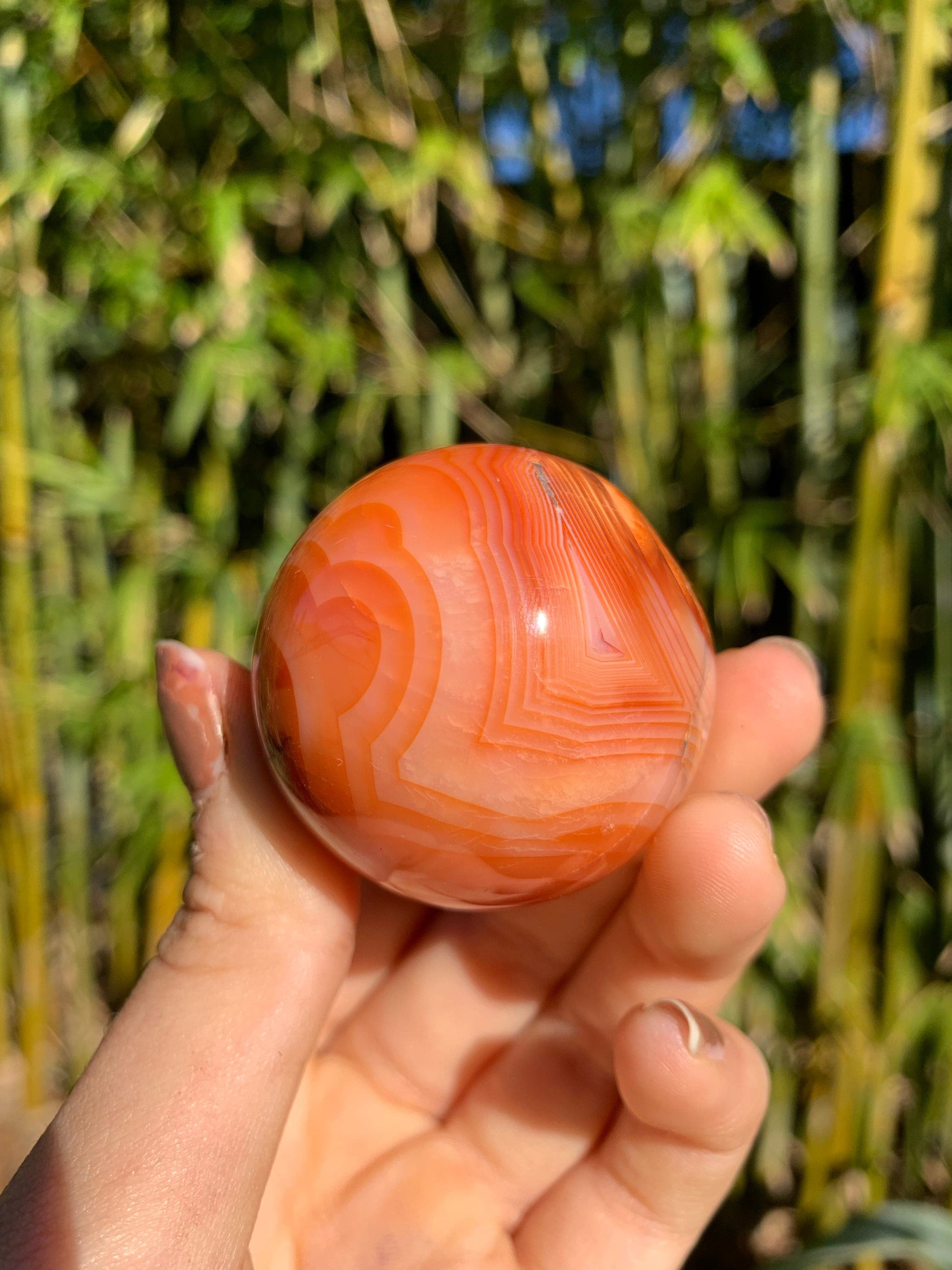 The Guide Crystals sphere 9 Carnelian Medium/Large Sphere
