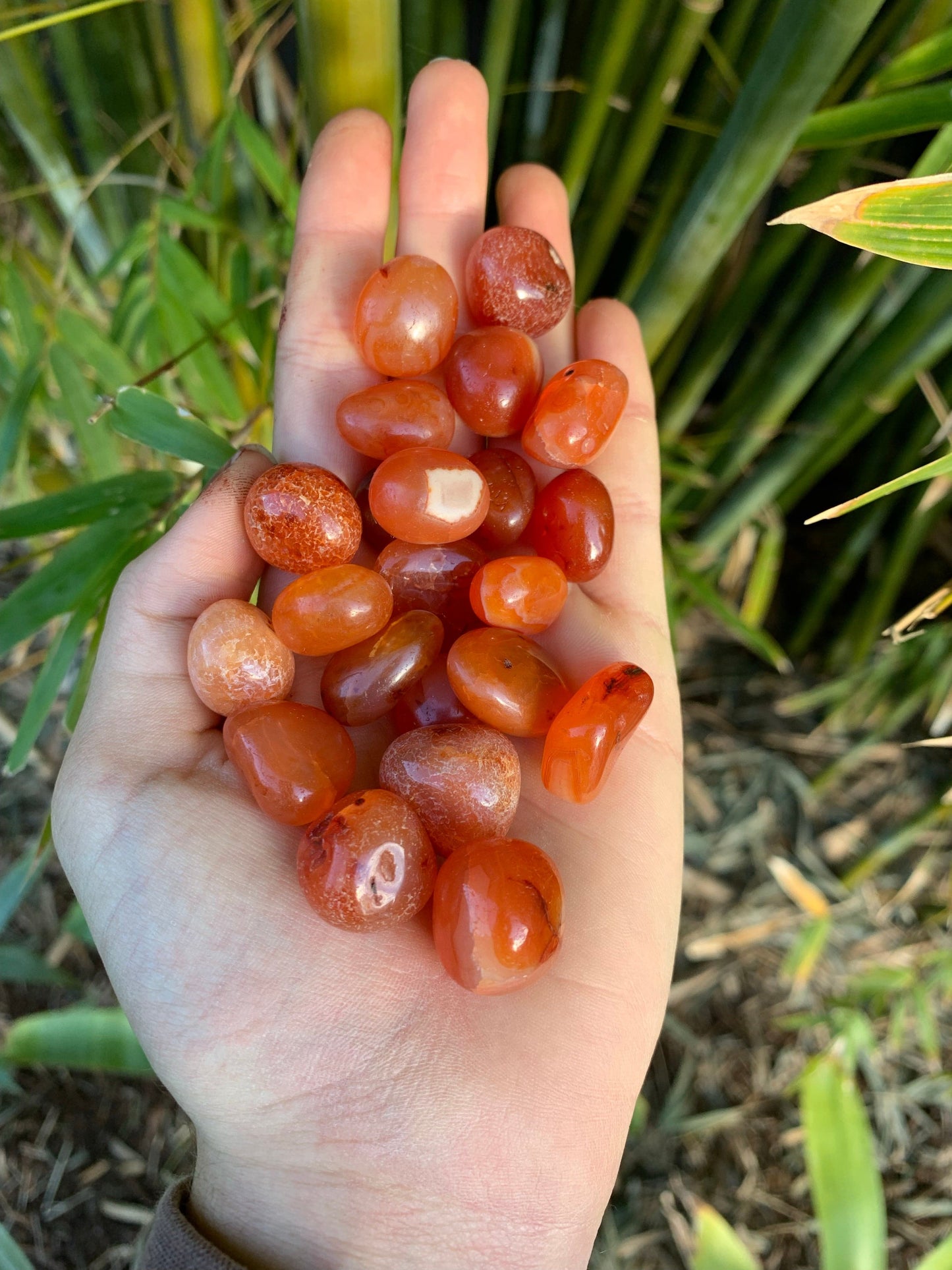 The Guide Crystals tumble Carnelian Tumbled Stone Mini