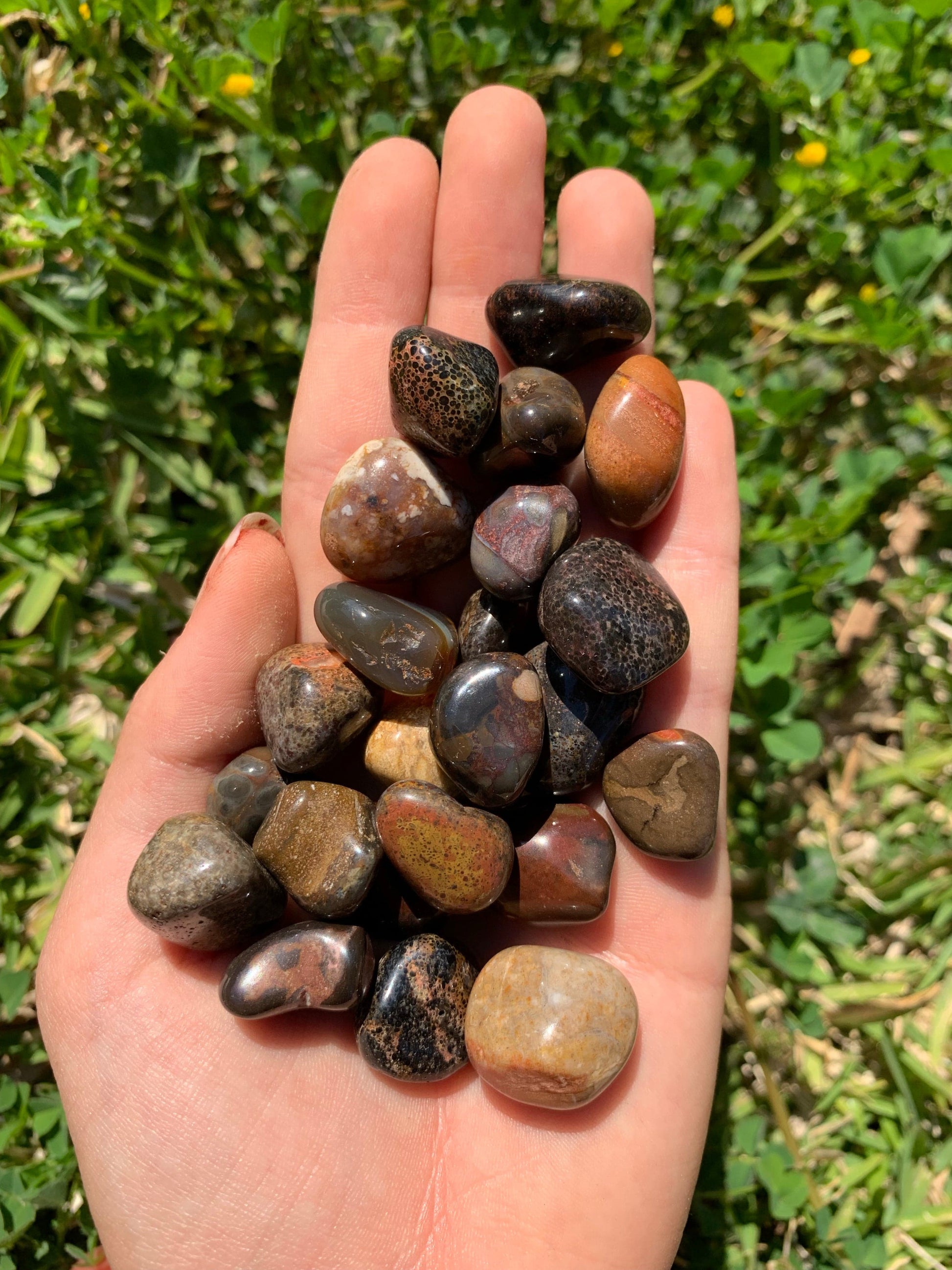 The Guide Crystals tumble Fancy Jasper Tumbled Stone