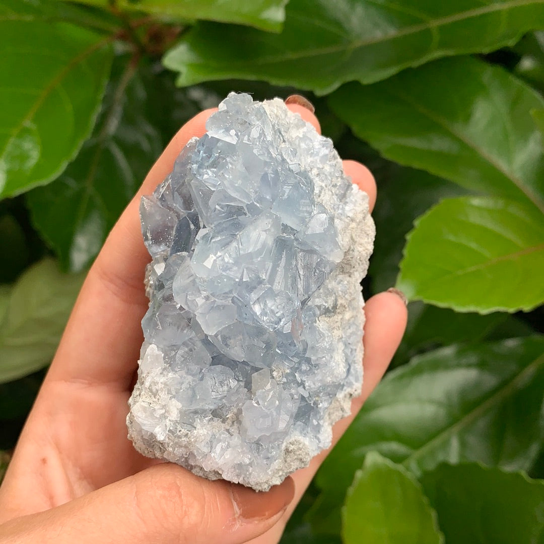 Celestite Cluster Extra Large