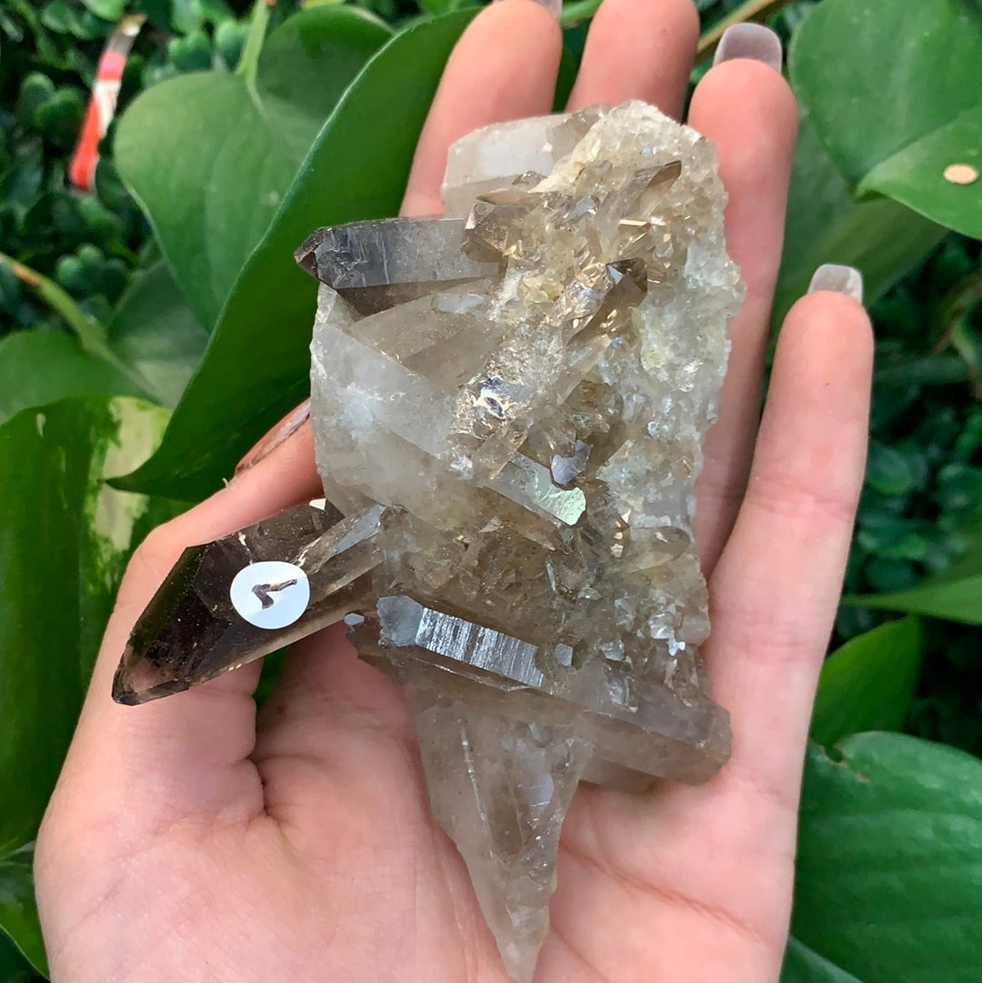 Smokey Quartz Cluster