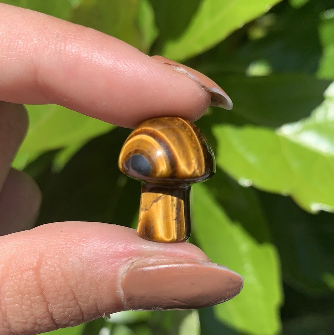 Tigers Eye Mini Mushroom