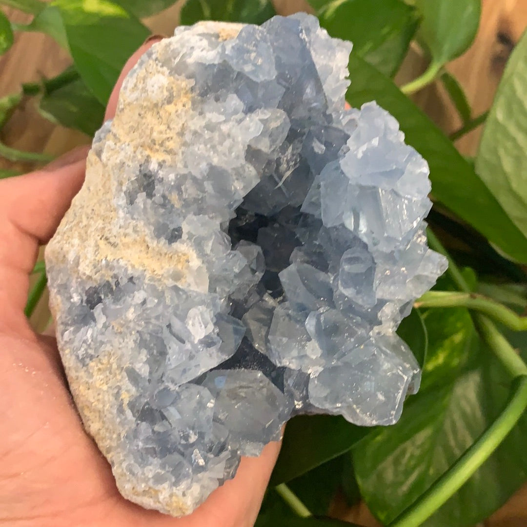 Celestite Cluster Extra Large