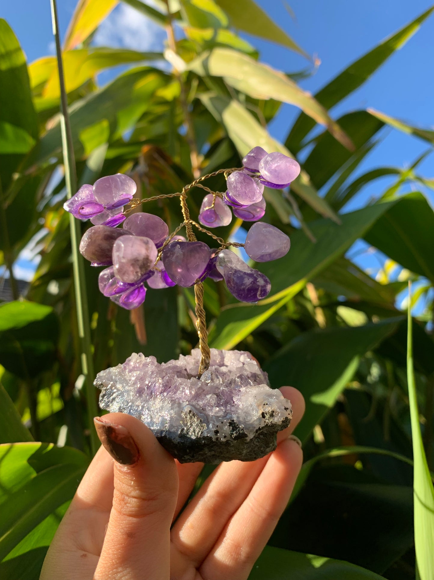 Amethyst Tree Amethyst Cluster Brazil