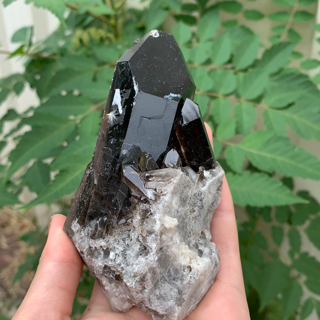 Smokey Quartz Cluster