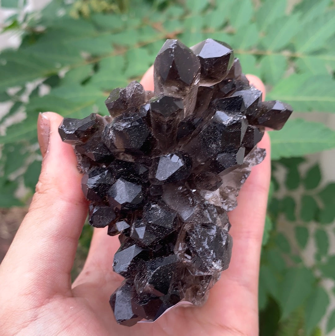 Smokey Quartz Cluster