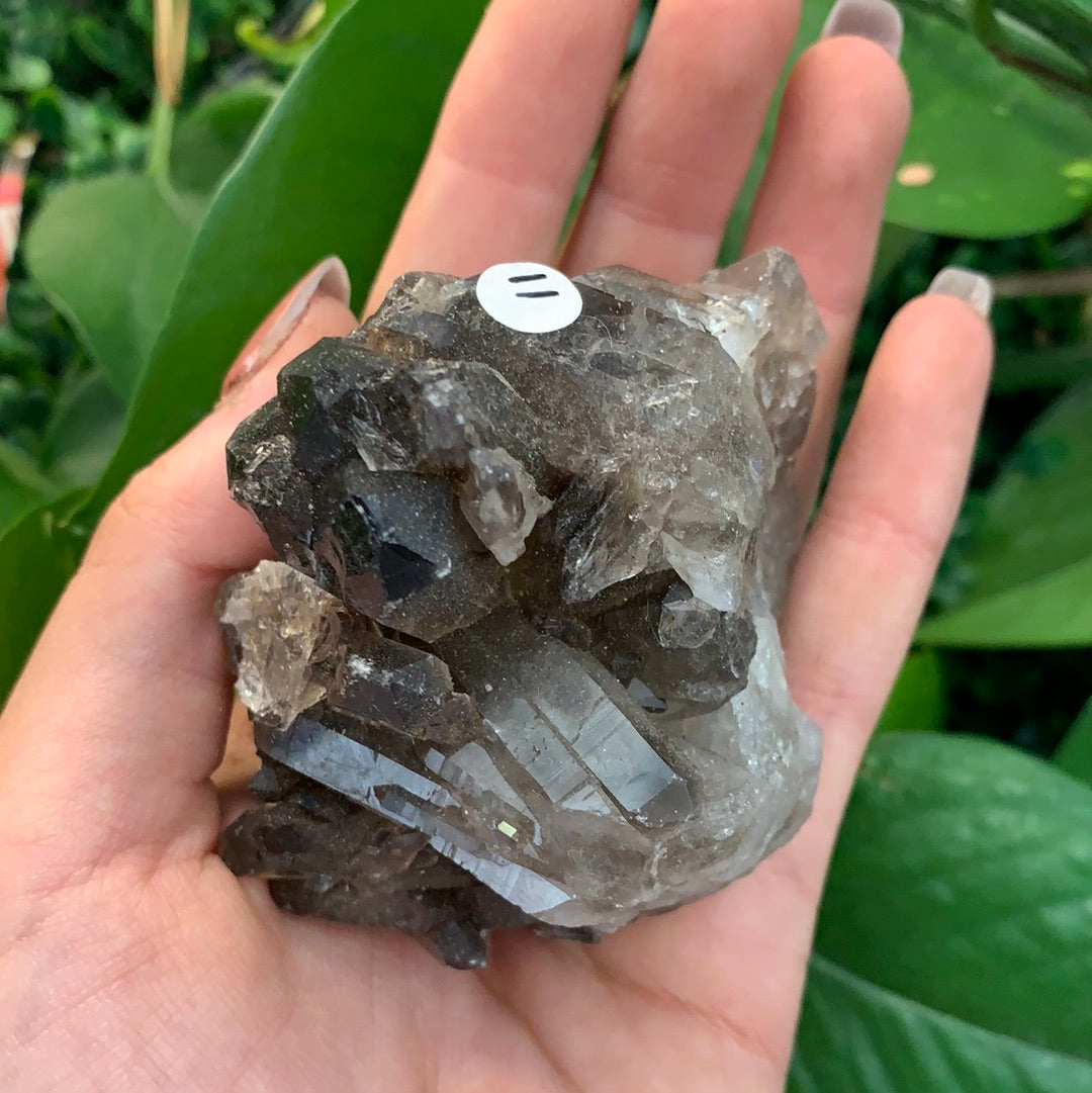 Smokey Quartz Cluster