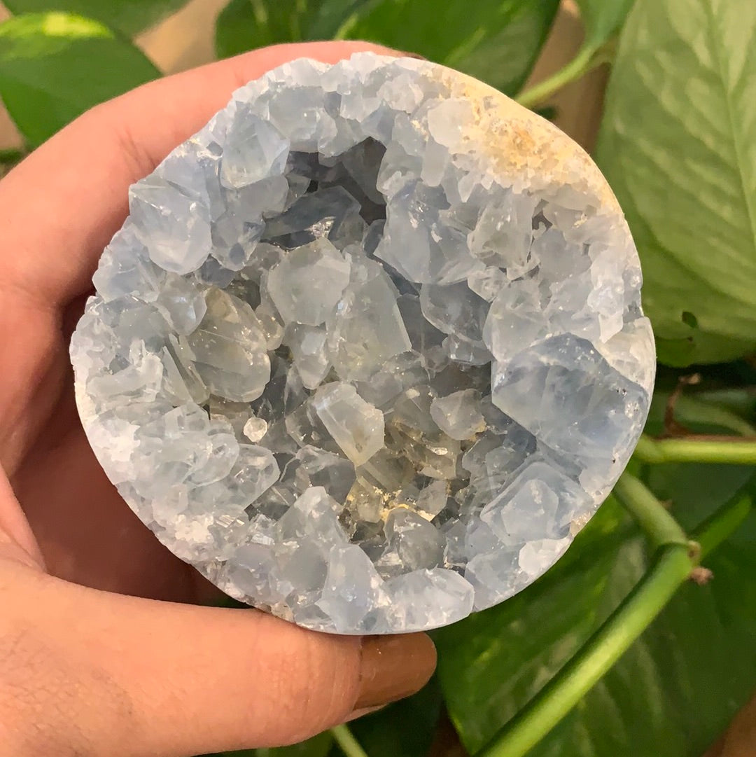 Celestite Semi Polished Sphere Cluster Extra Large