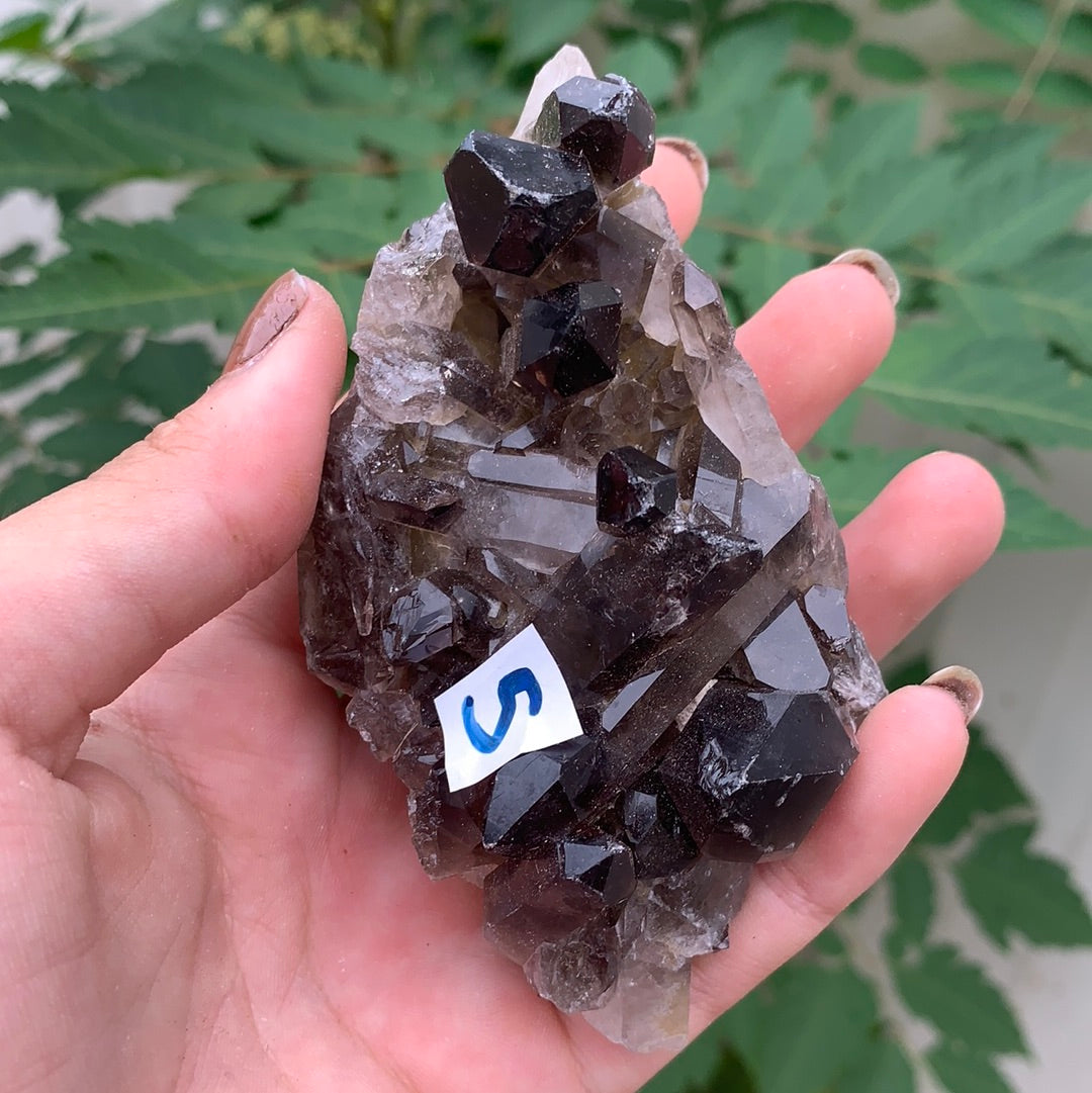 Smokey Quartz Cluster