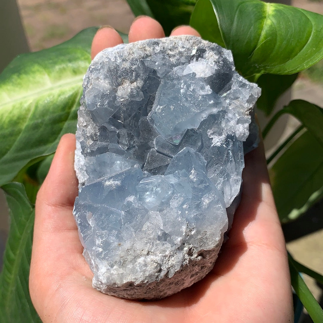 Celestite Cluster Extra Large