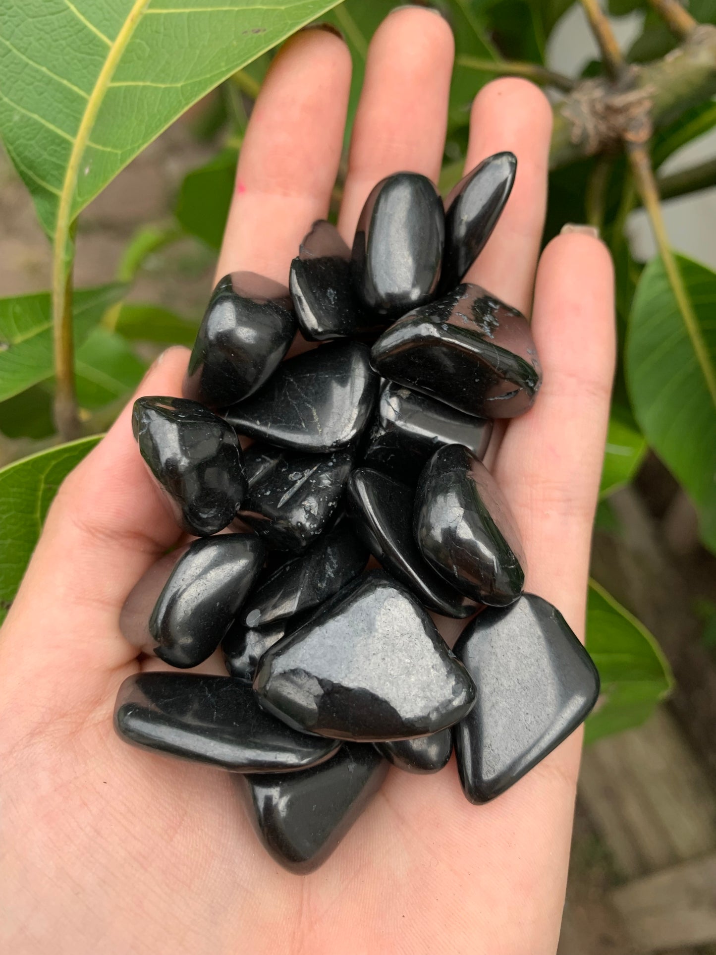 Shungite Tumble