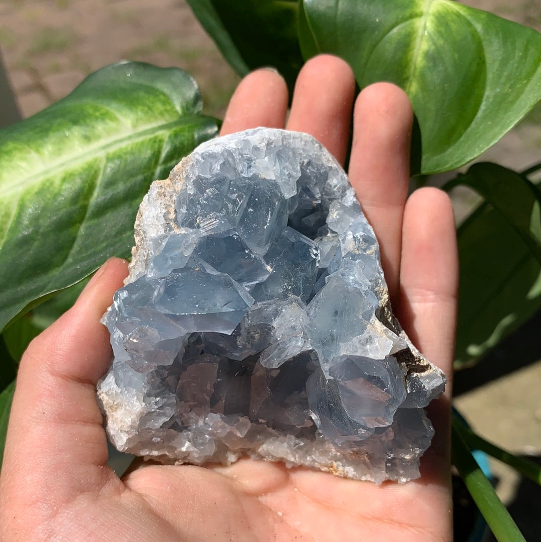 Celestite Cluster Extra Large