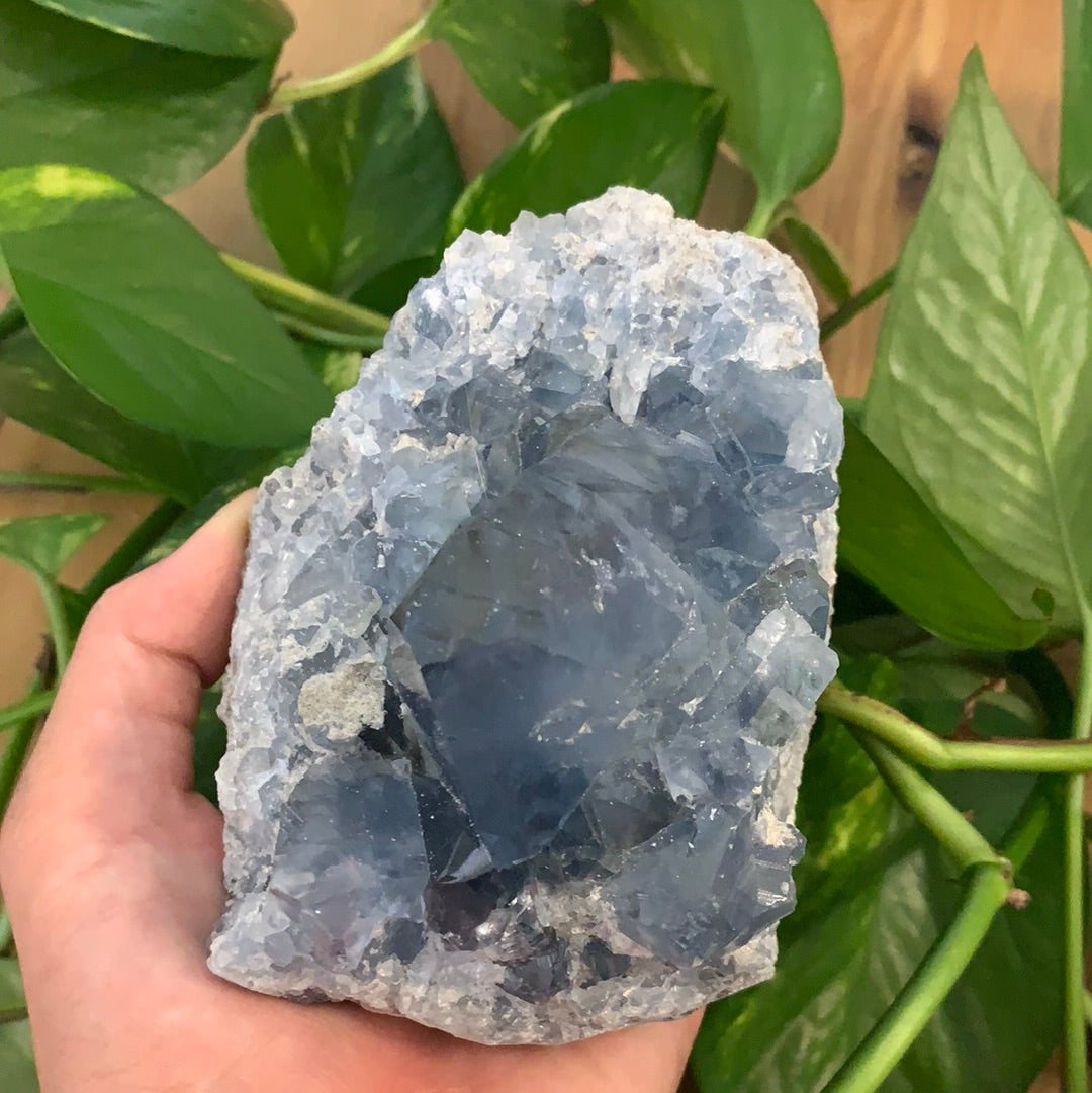 Celestite Cluster Extra Large