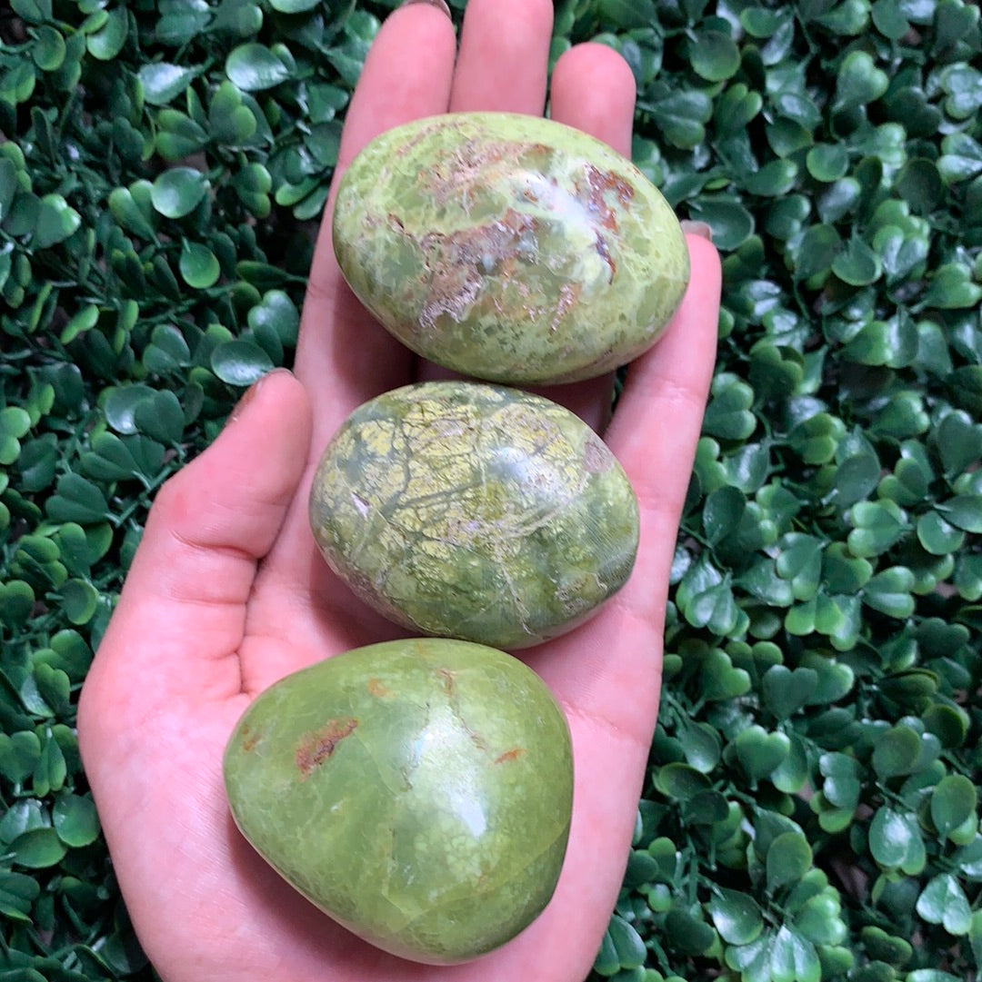 Green Opal Palm Stone