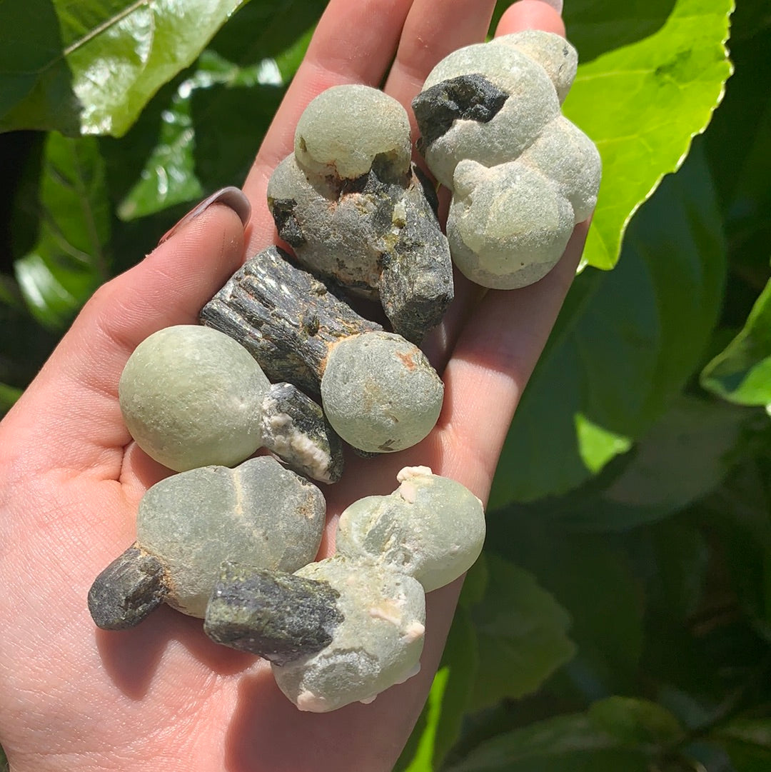 Prehnite with Black Tourmaline Rough