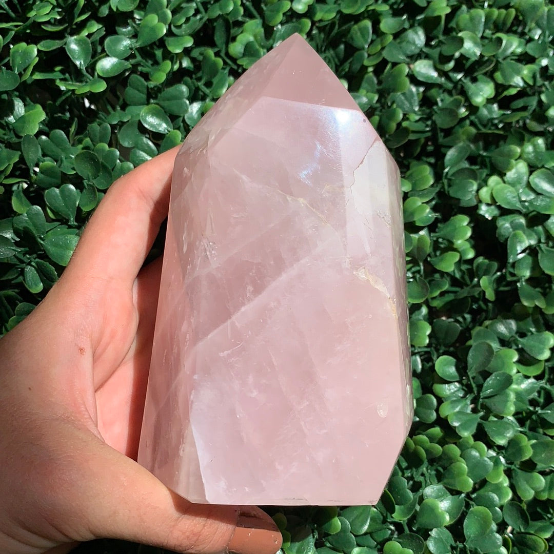 Rose Quartz Jumbo Point 3