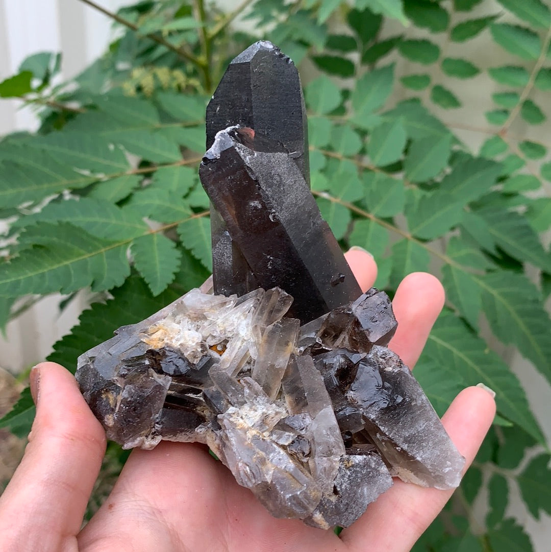 Smokey Quartz Cluster