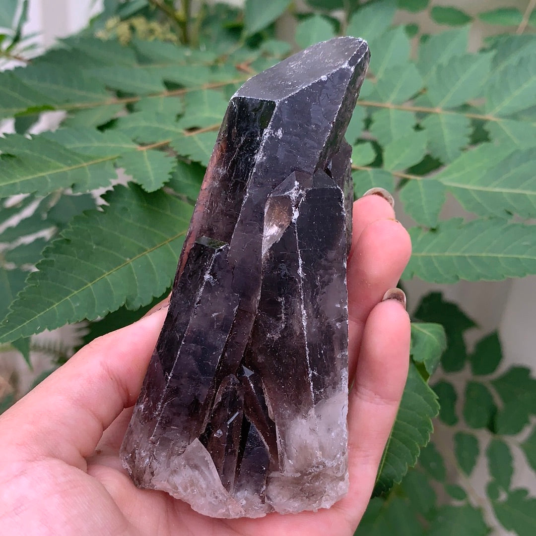 Smokey Quartz Cluster