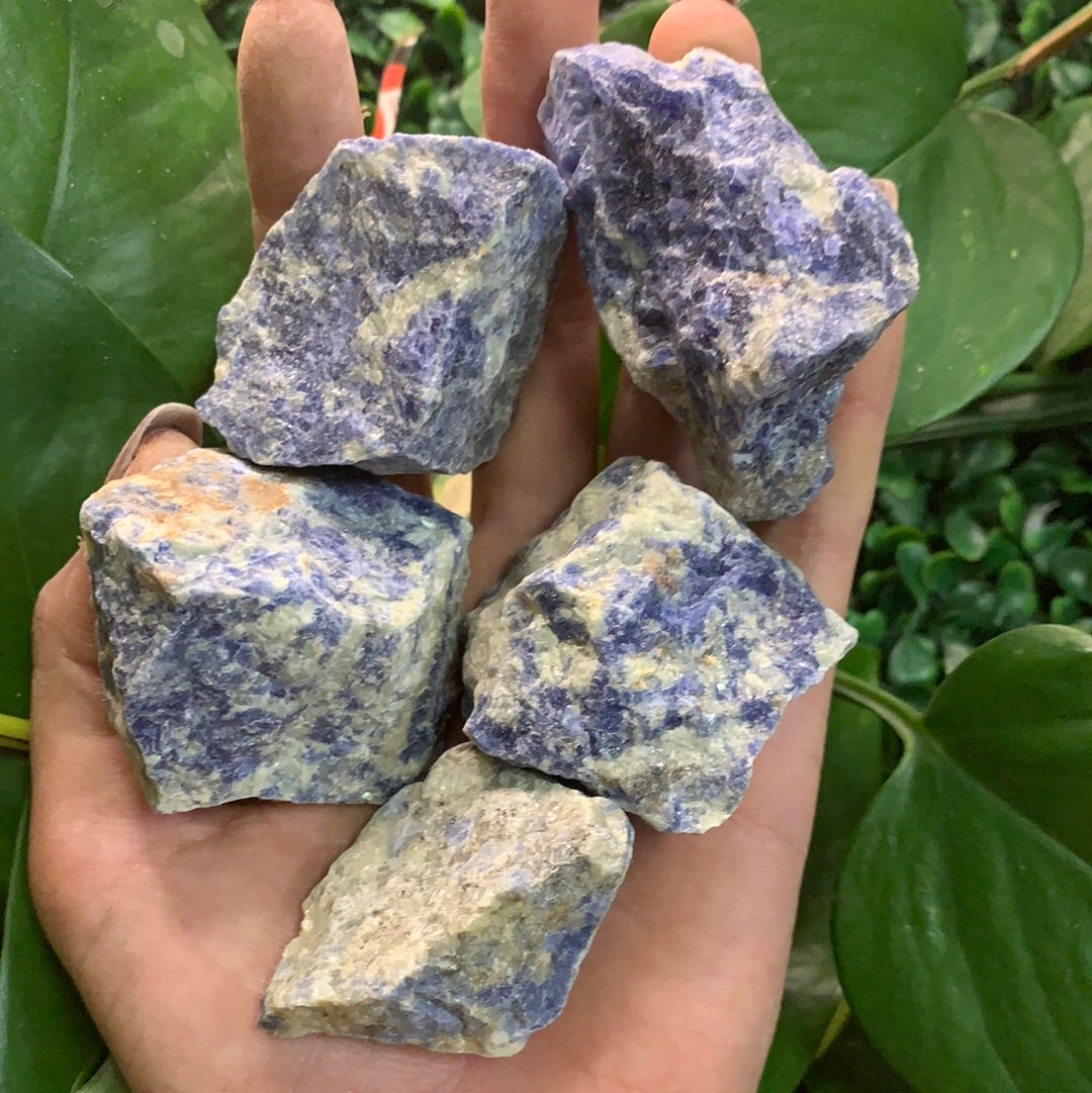 Sodalite Medium Rough