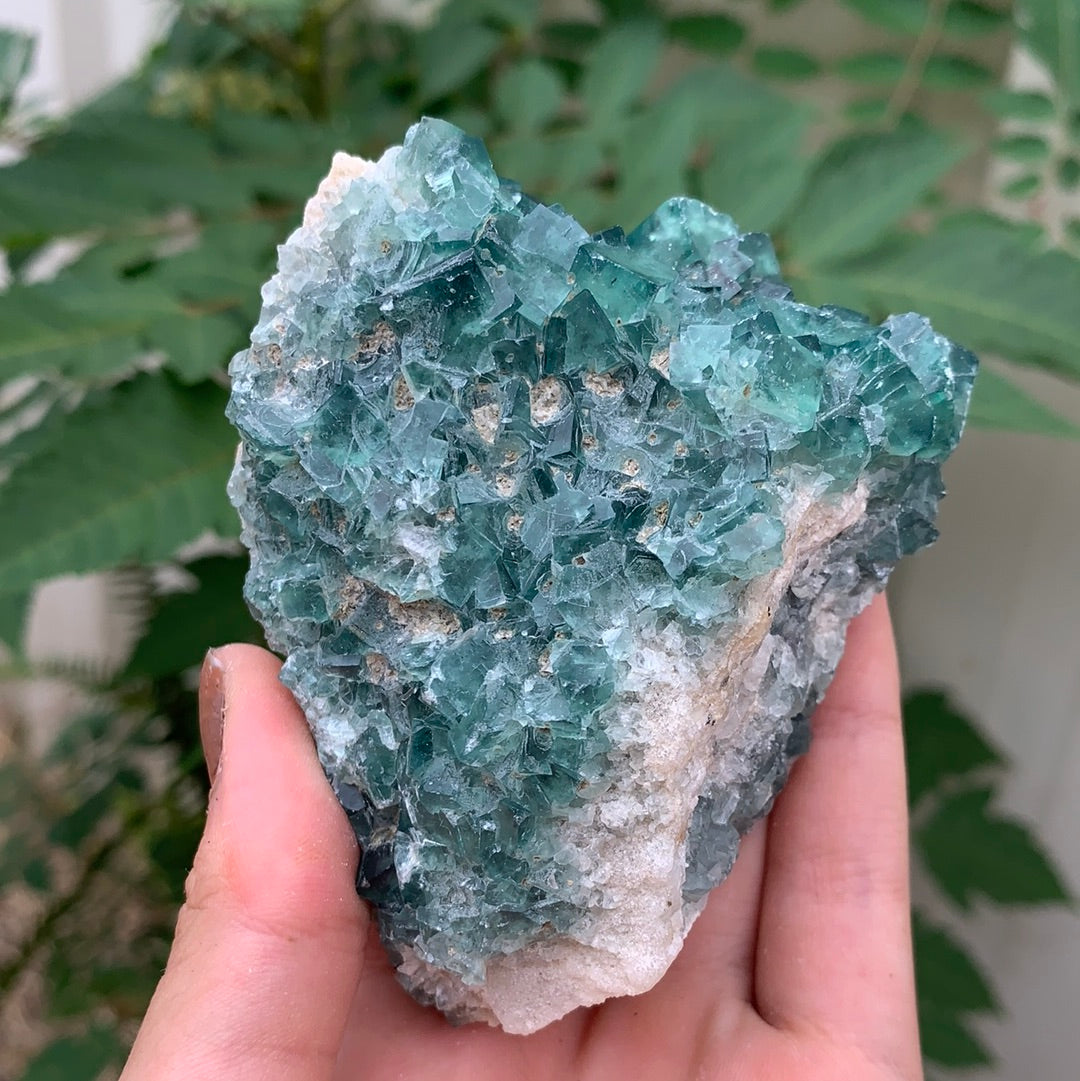 Green Fluorite Cluster 10