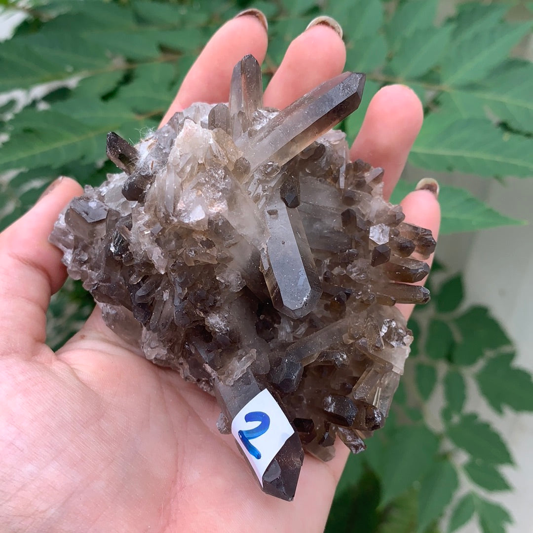 Smokey Quartz Cluster