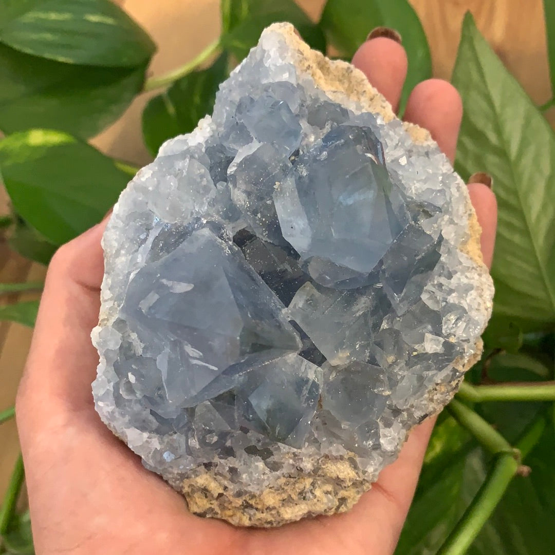 Celestite Cluster Extra Large