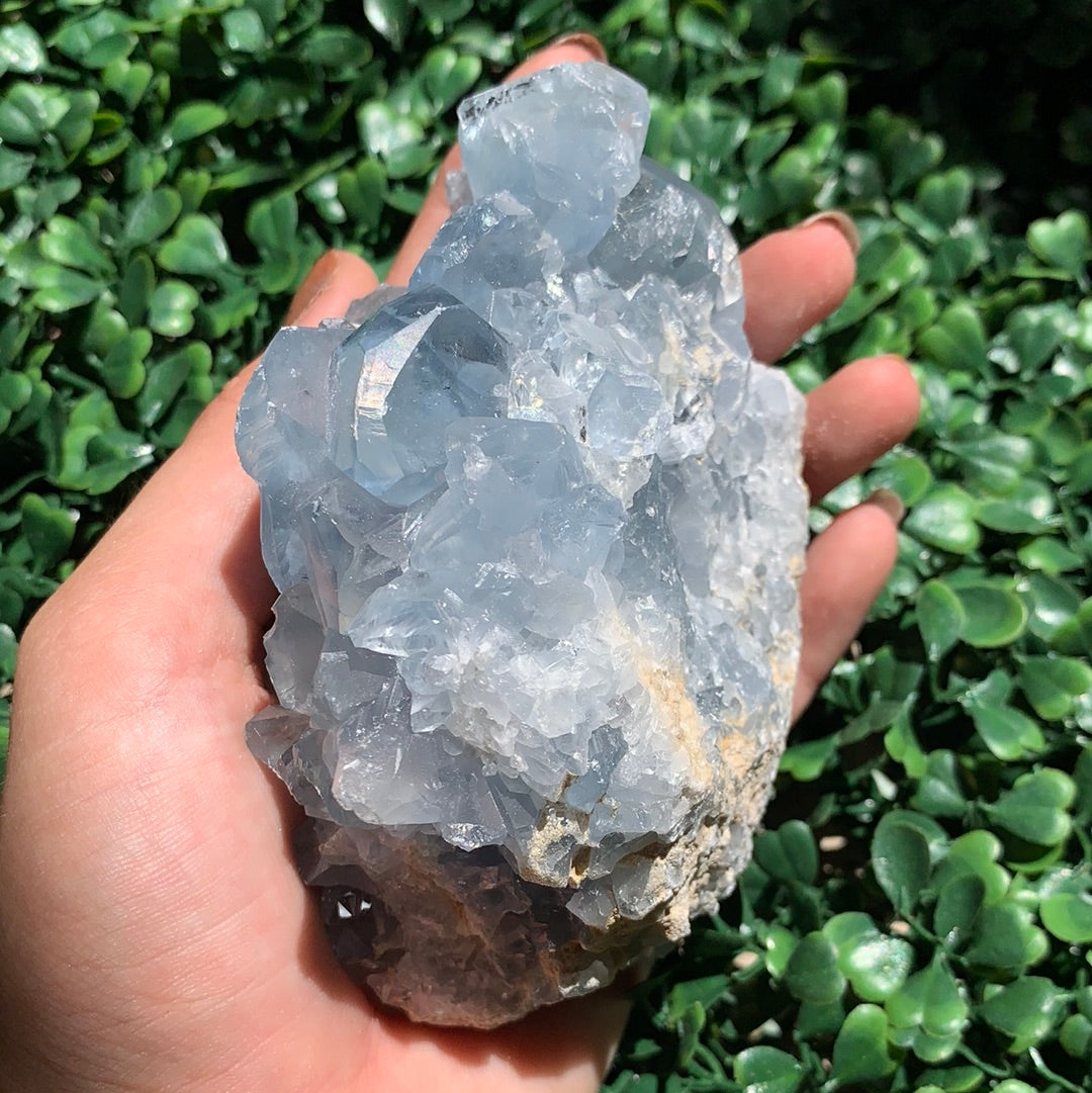 Celestite Cluster Extra Large