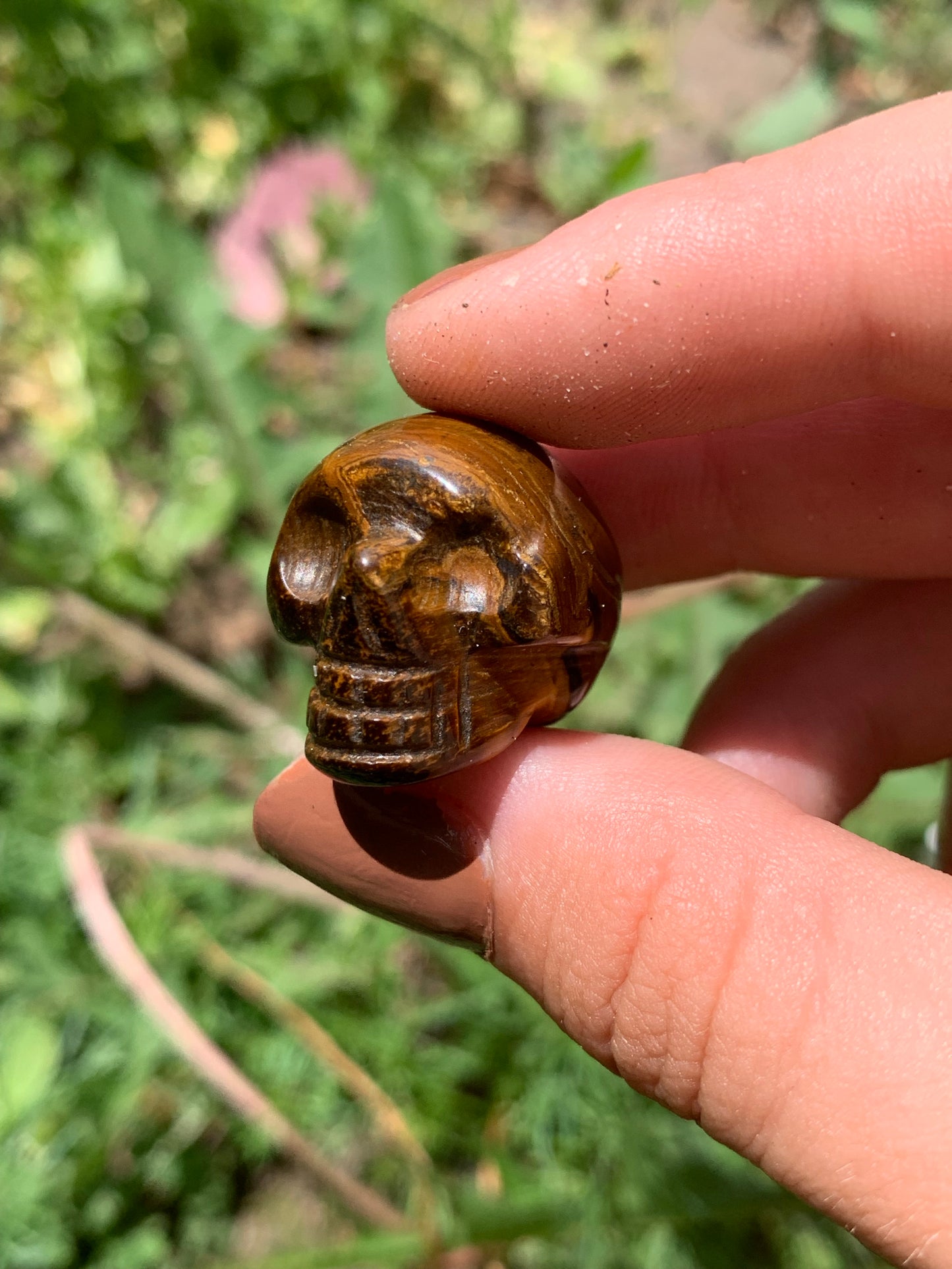 Tigers Eye Mini Skull