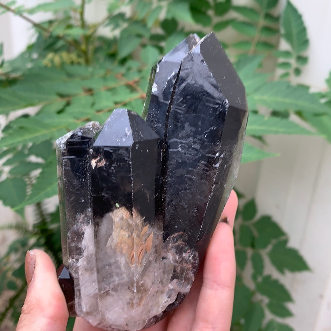 Smokey Quartz Cluster