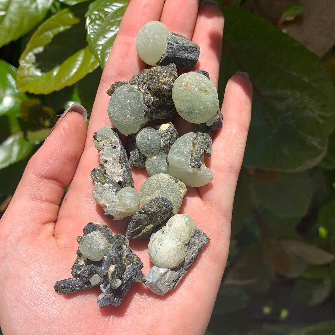 Prehnite with Black Tourmaline Rough