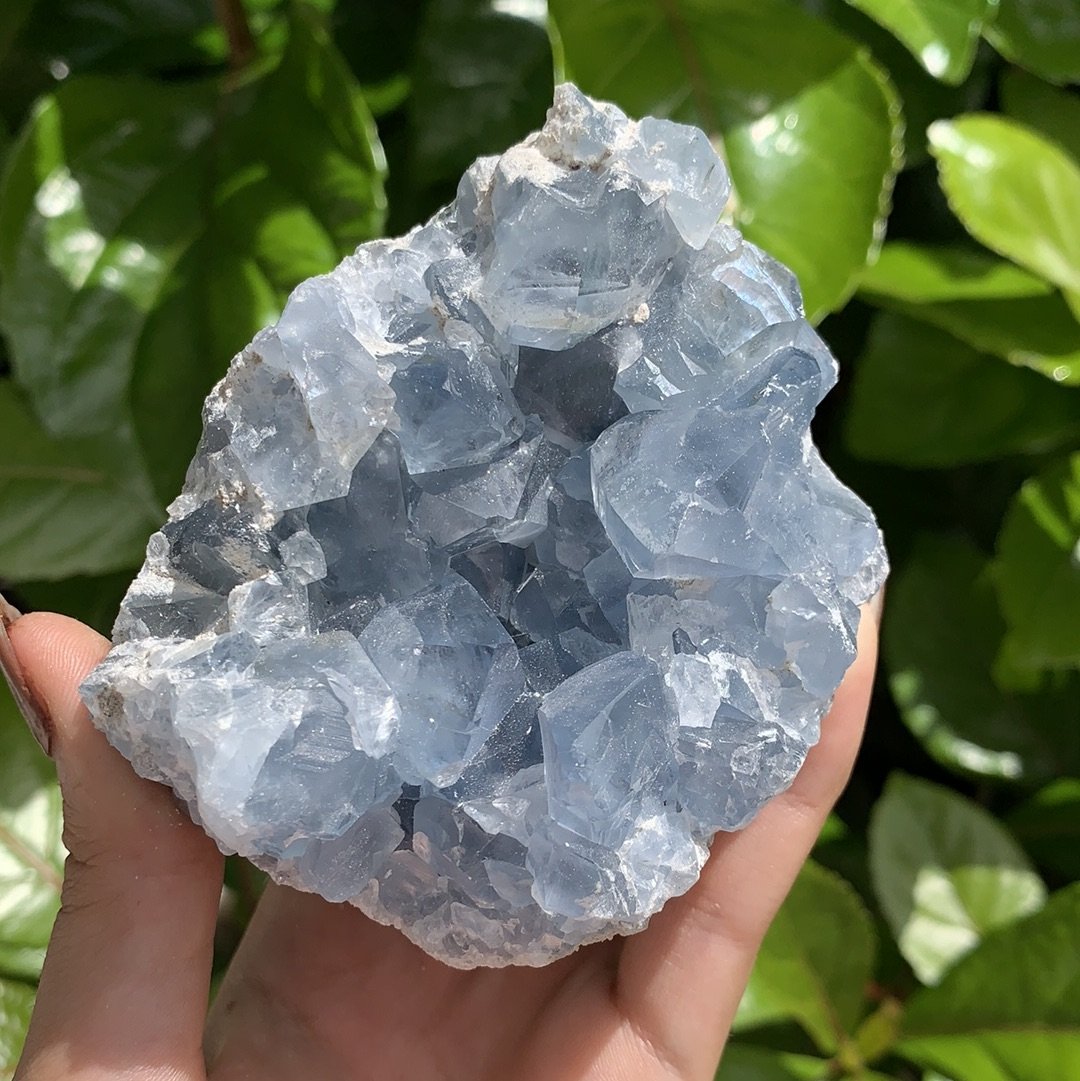 Celestite Cluster Extra Large