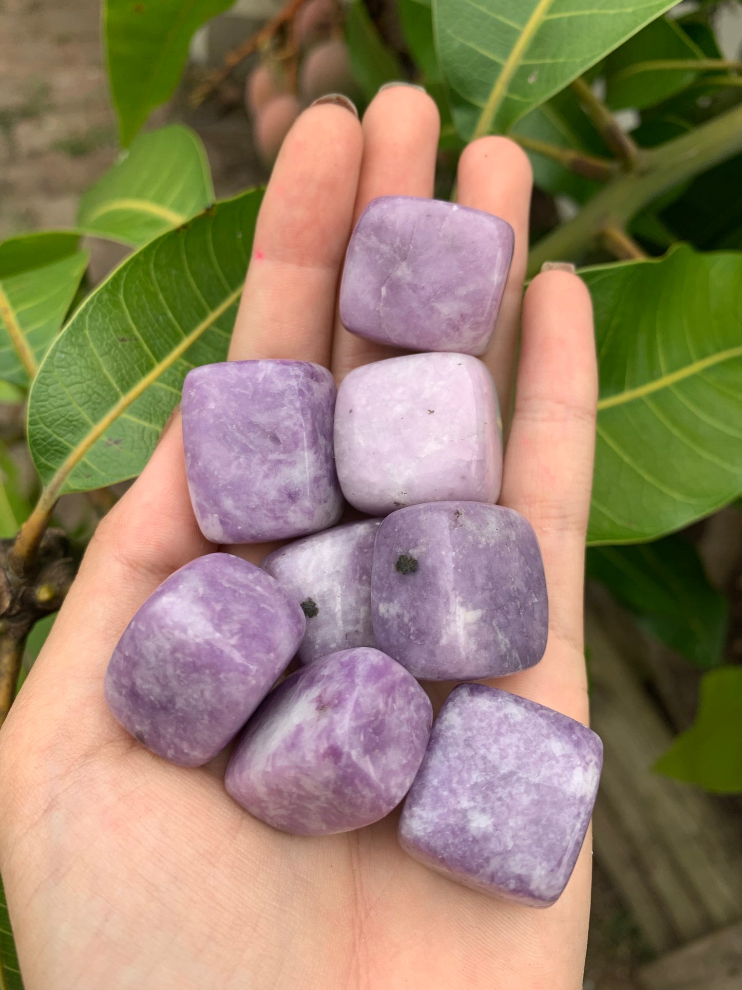 Lepidolite Tumble Brazil