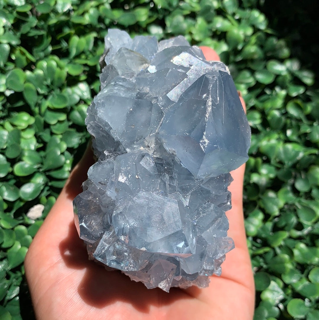 Celestite Cluster Extra Large