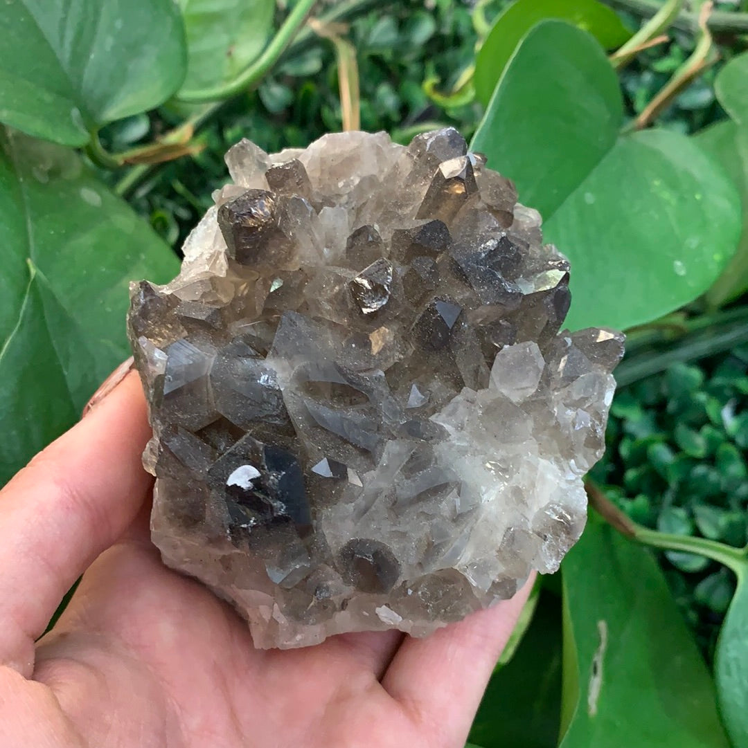 Smokey Quartz Cluster