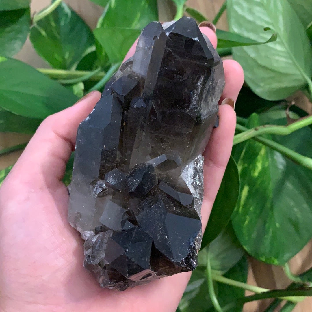 Smokey Quartz Cluster