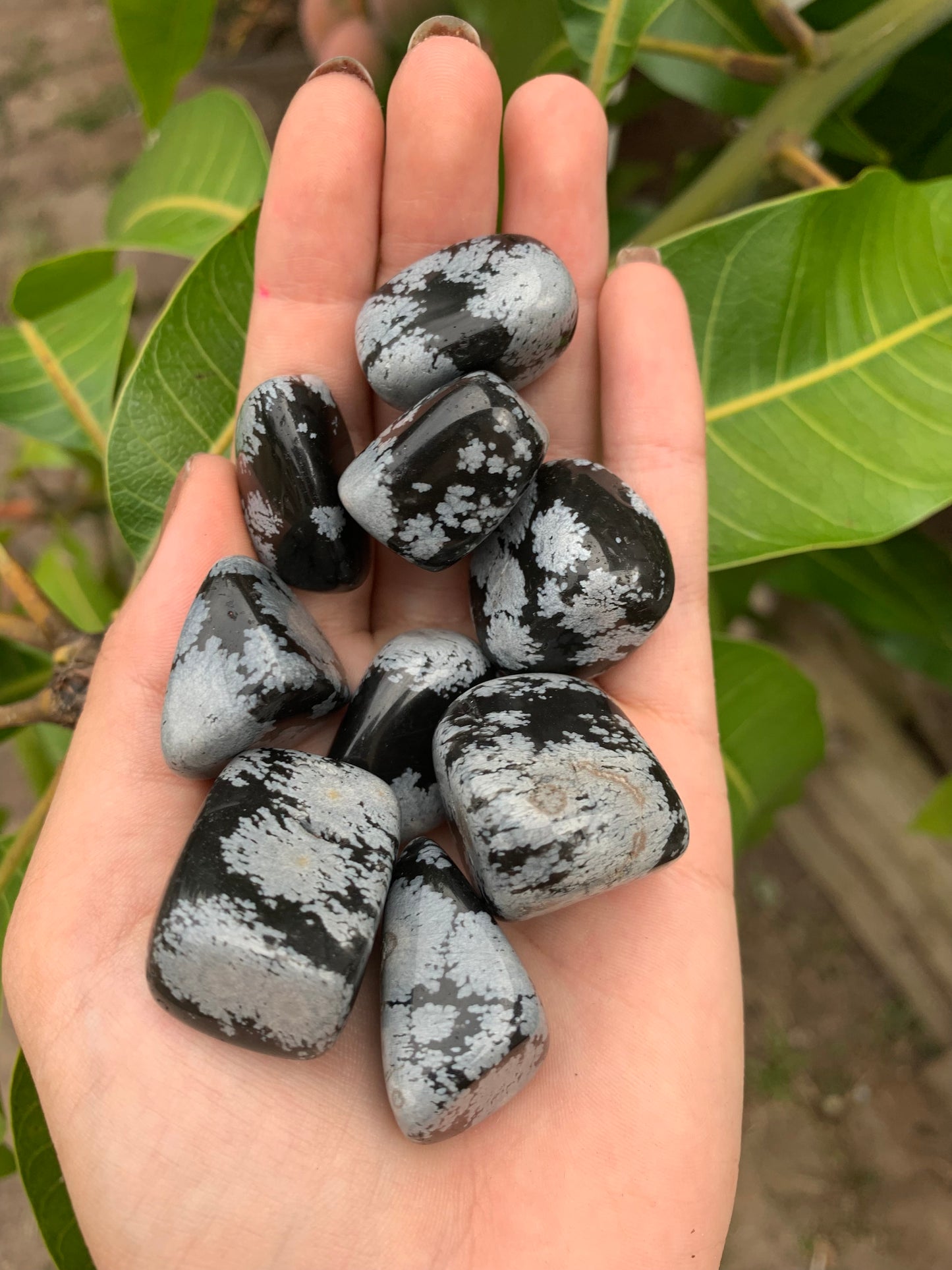 Snowflake Obsidian Tumbles