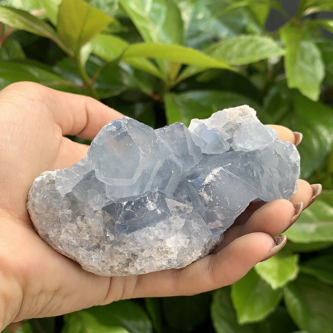 Celestite Cluster Extra Large