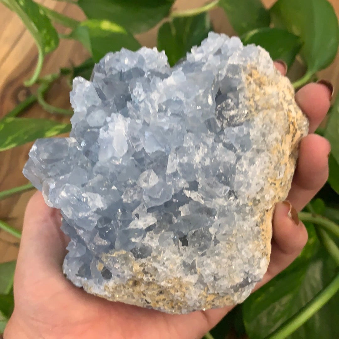 Celestite Cluster Extra Large