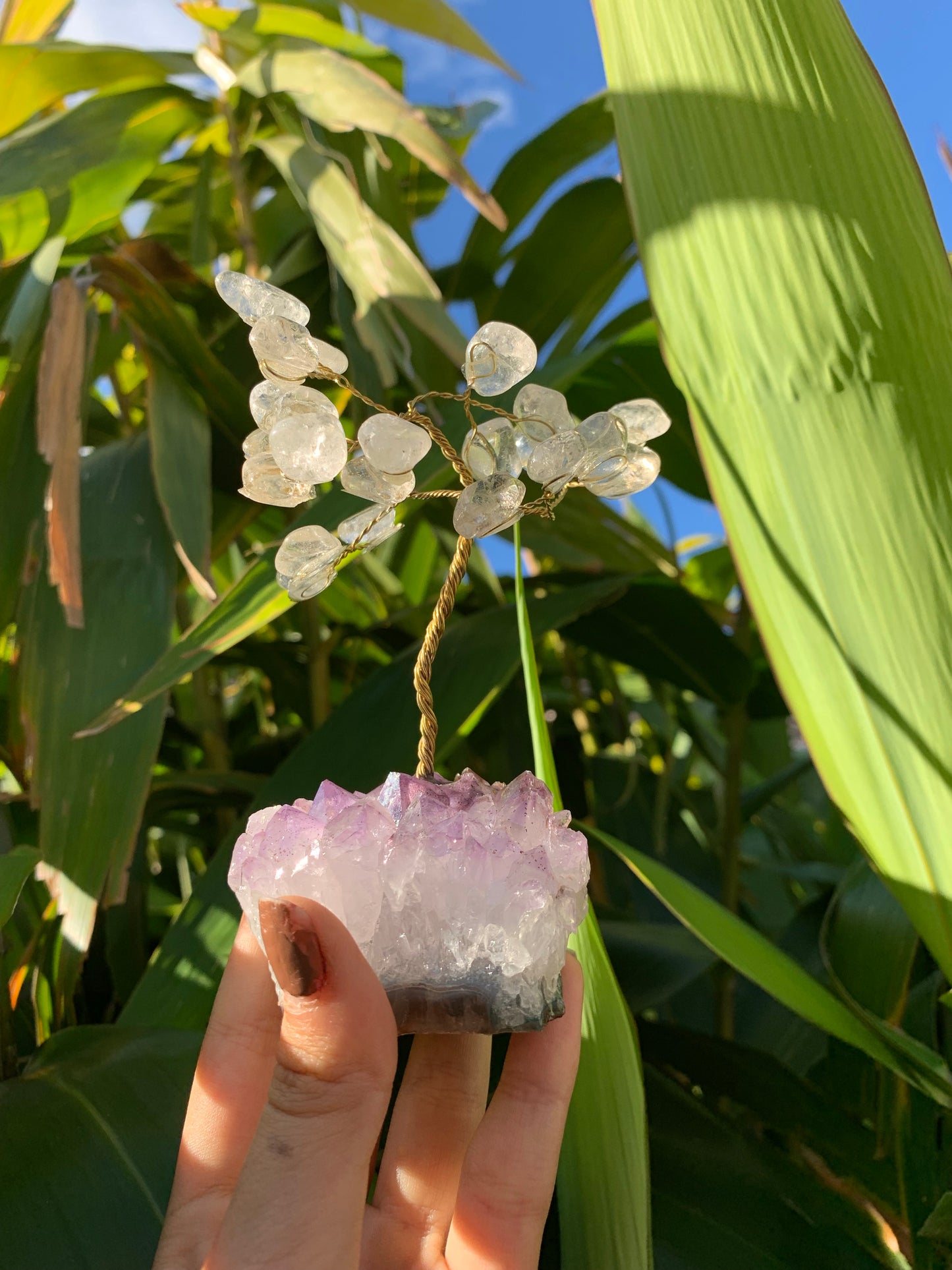 Clear Quartz Tree Amethyst Cluster Brazil