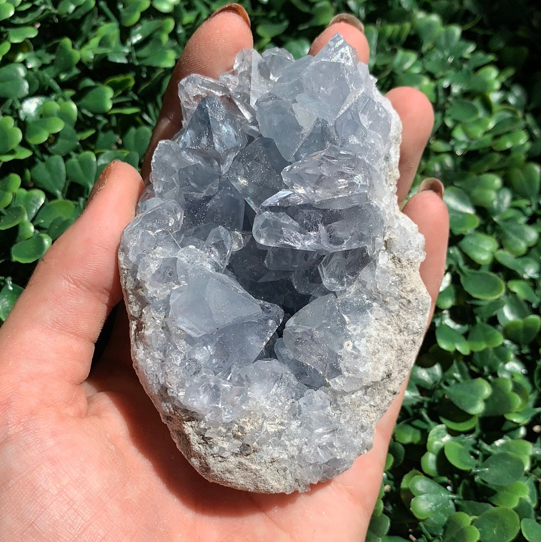 Celestite Cluster Extra Large