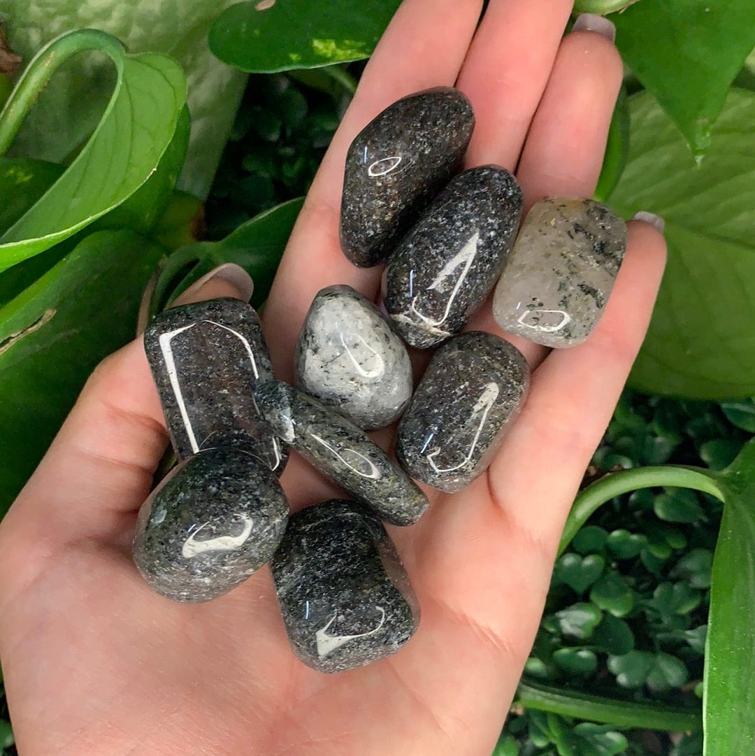 The Guide Crystals tumble Rutilated Quartz Tumbled Stone