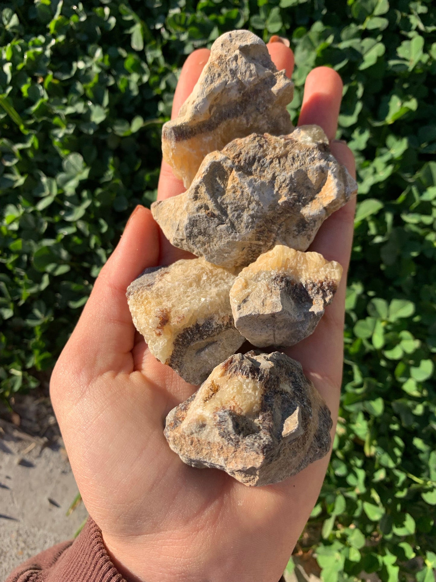 The Guide Crystals rough Septarian Rough Crystal