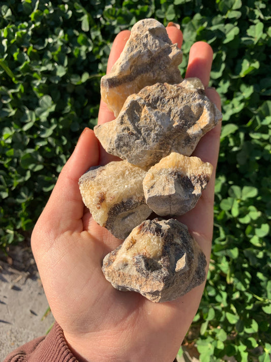 The Guide Crystals rough Septarian Rough Crystal